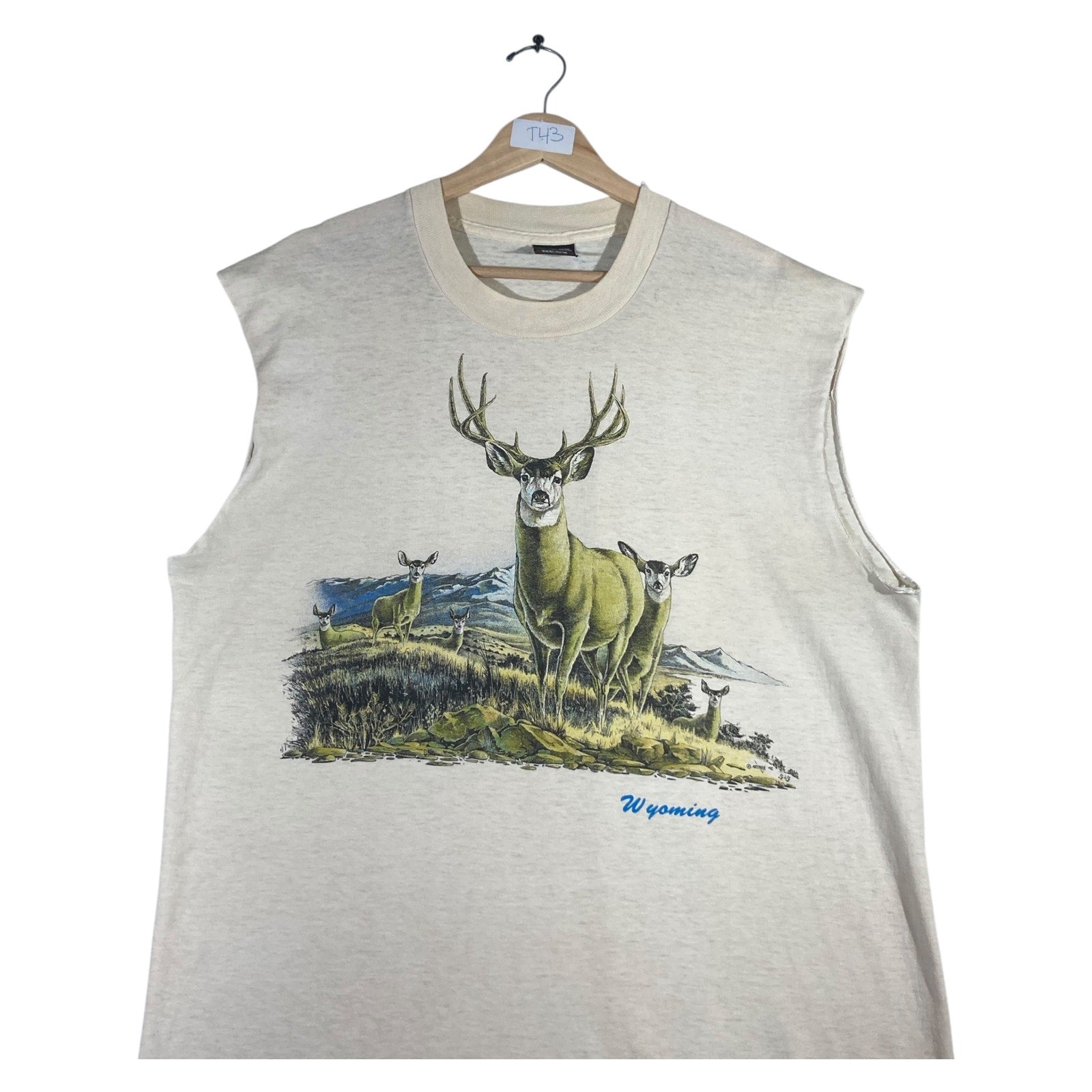 Vintage Fruit of the Loom Muscle Sleeves Tank Top