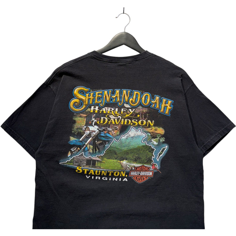Vintage Harley Davidson "It's Why We Ride" Staunton, VA Tee