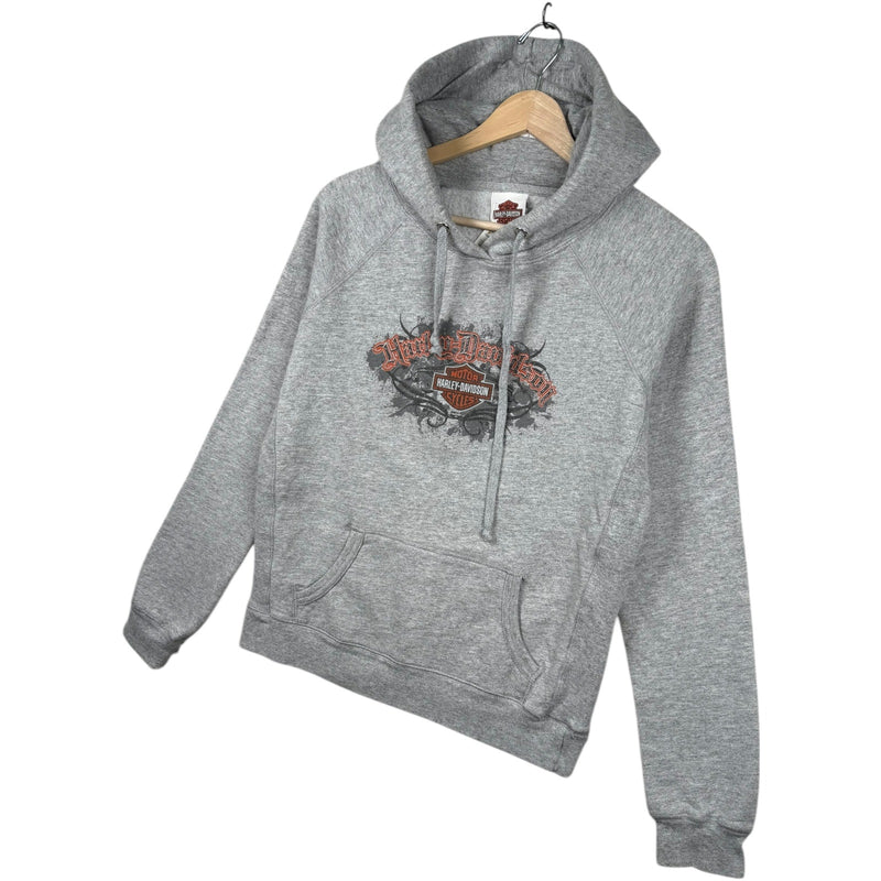 Vintage Harley Davidson Enjoy The Ride Hoodie