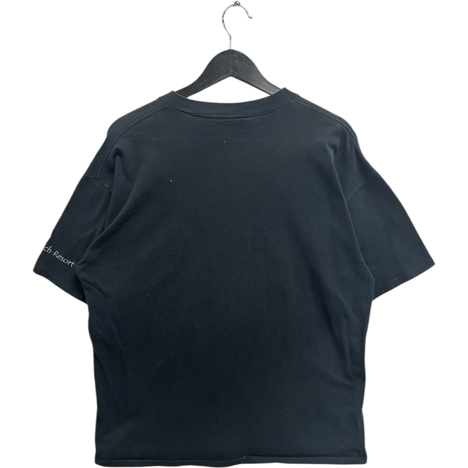 Vintage Habitat Big Face Bison Tee