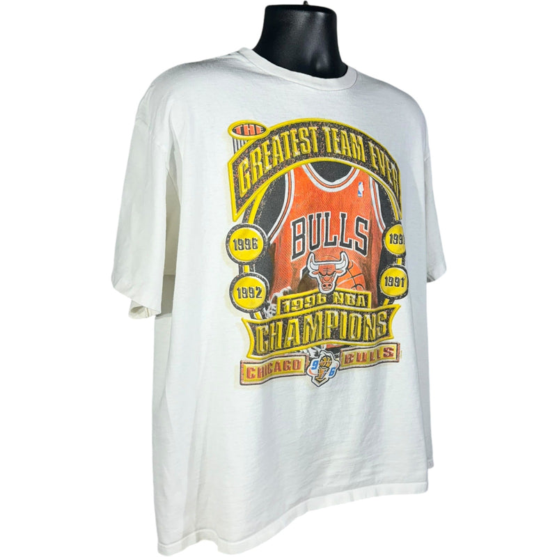 Vintage Chicago Bulls World Champions Starter Tee 1996