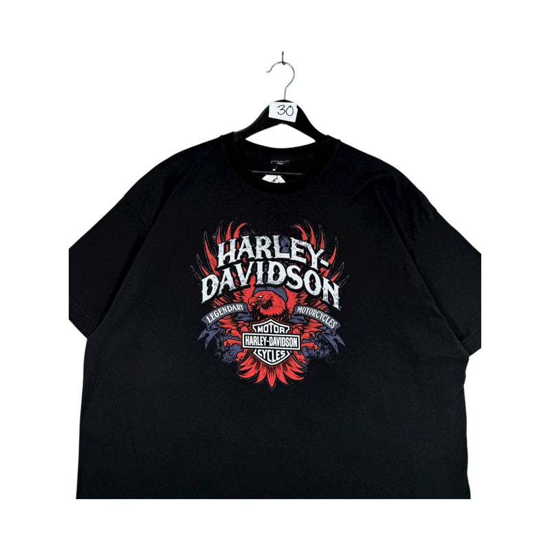 Vintage Harley Davidson T-Shirt
