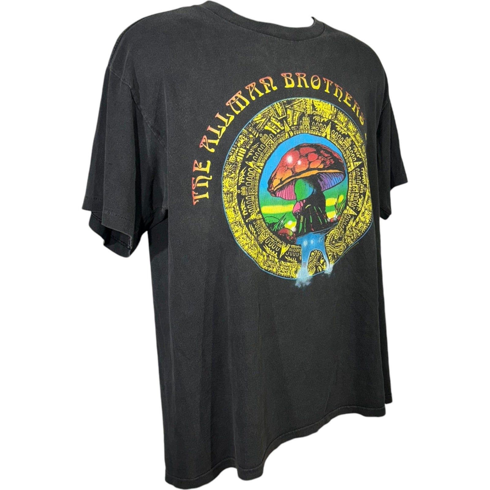 Vintage The Allman Brothers Band Summer Tour Tee '96