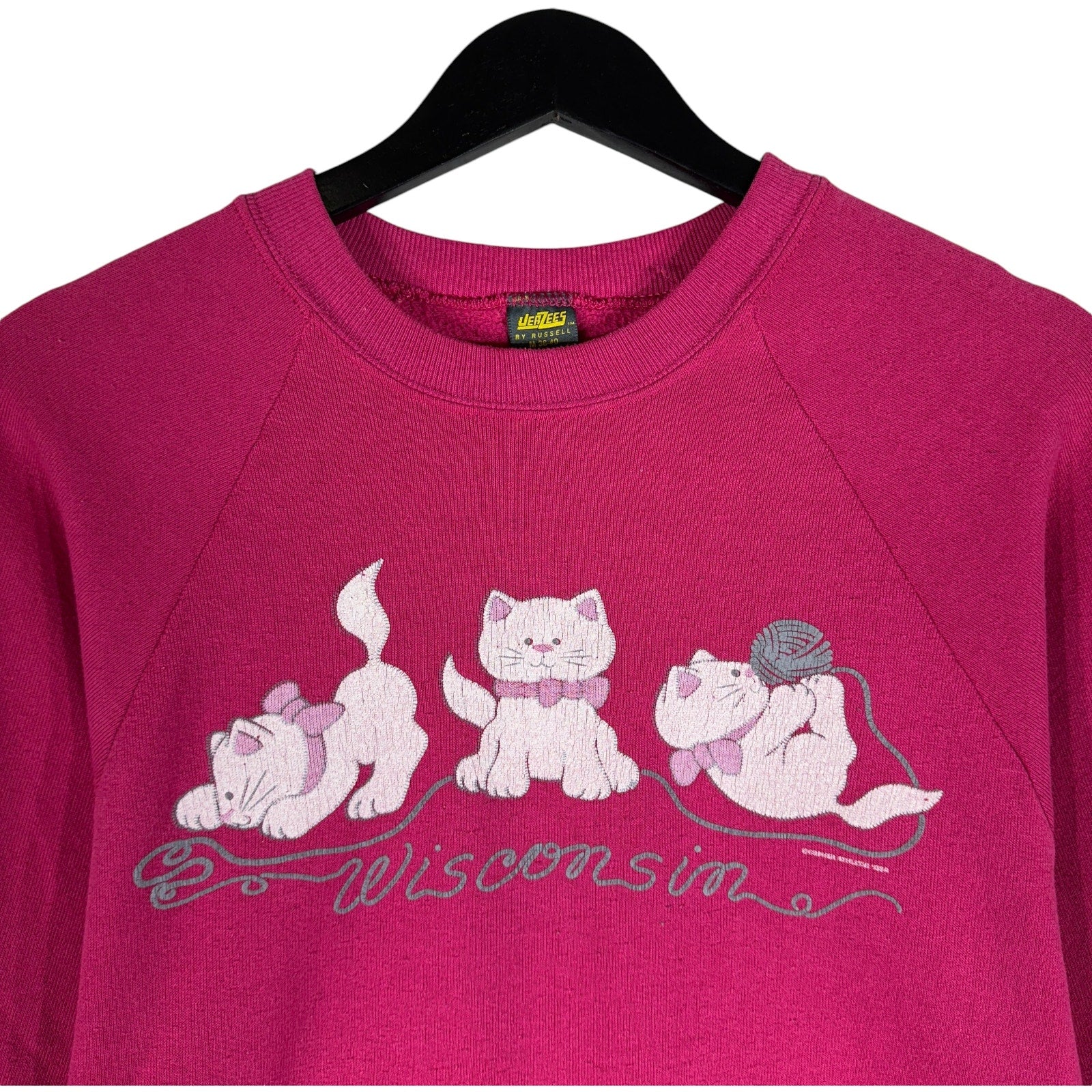 Vintage Three Kittens Wisconsin Souvenir Crewneck