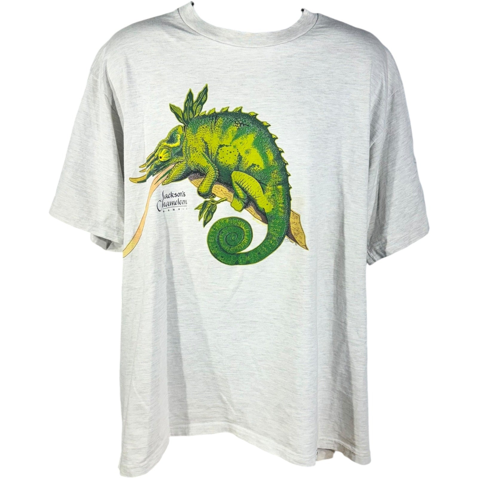 Vintage Chameleon Hawaii Souvenir Tee 90s