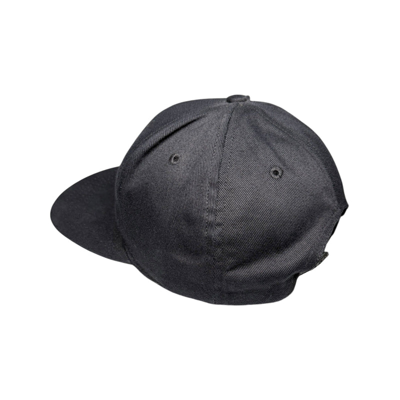 Vintage Dropkick Murphys Snapback Hat OSFA
