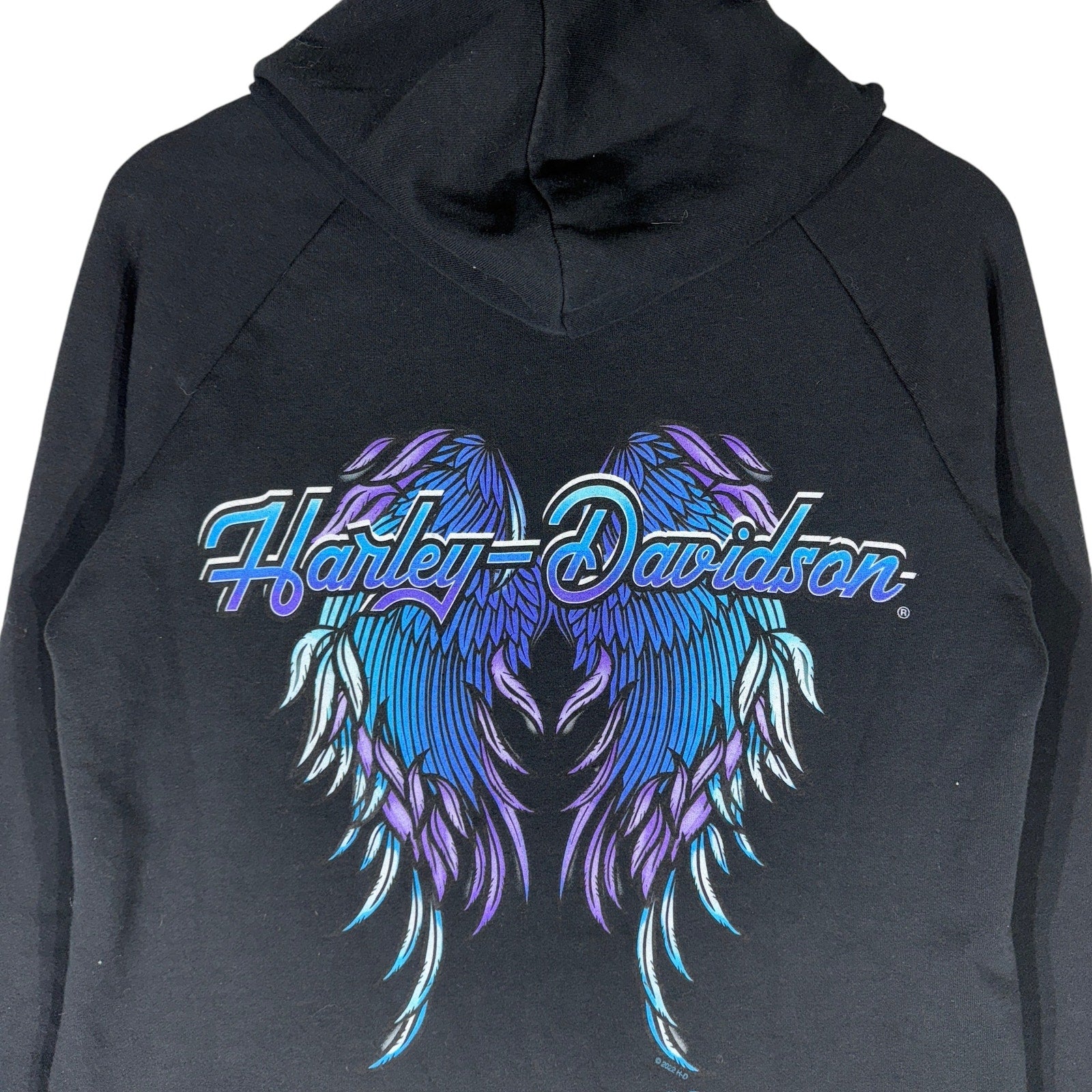 Women's Harley Davidson Sierra Steel Dragon Wings Hoodie