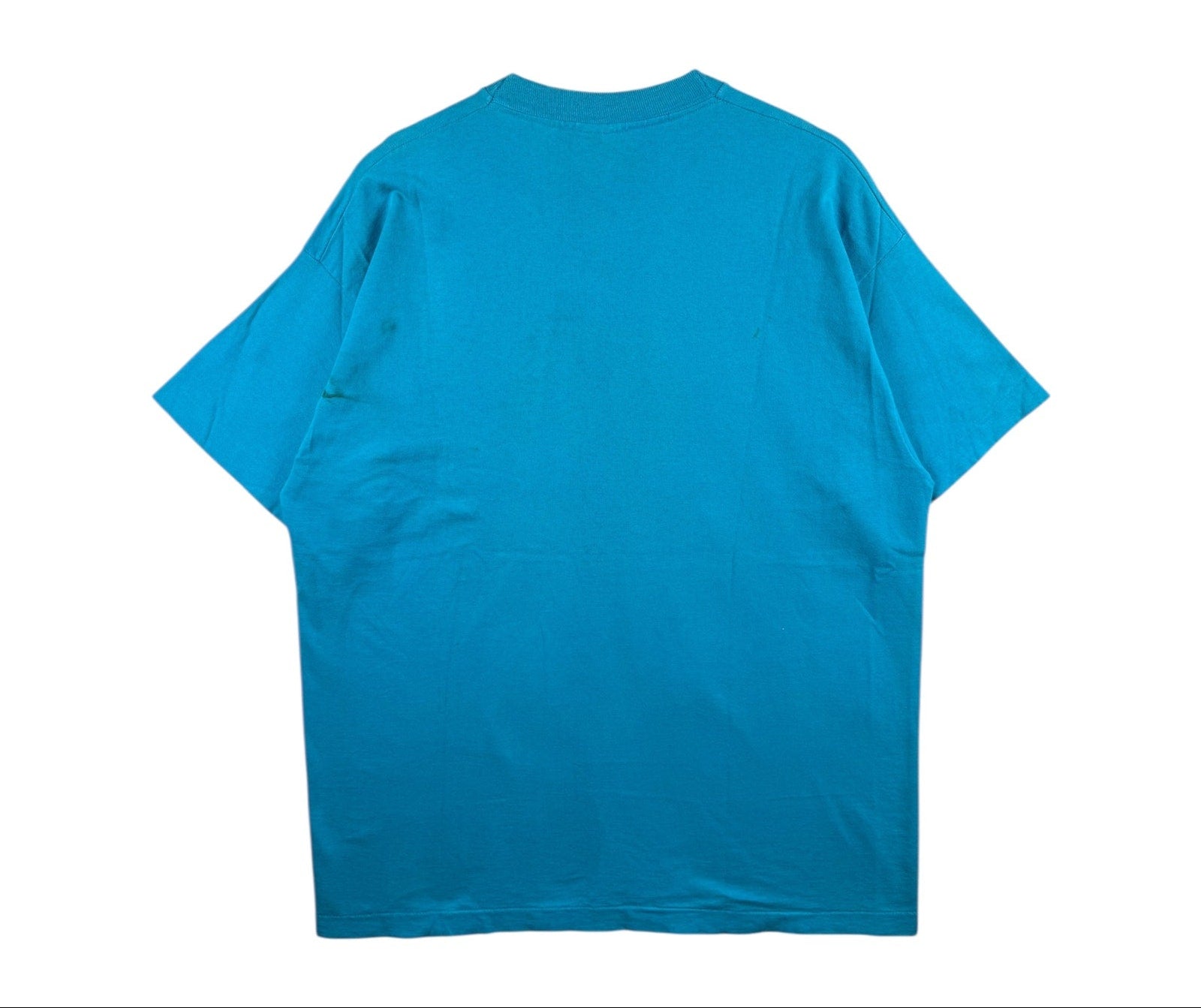 Vintage Charlotte Hornets 1993 NBA Playoffs We Bee-lieve T-Shirt