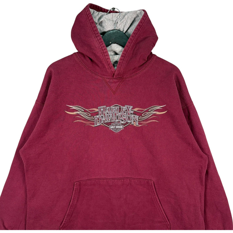 Vintage Harley Davidson Richmond, VA Flames Spellout Hoodie
