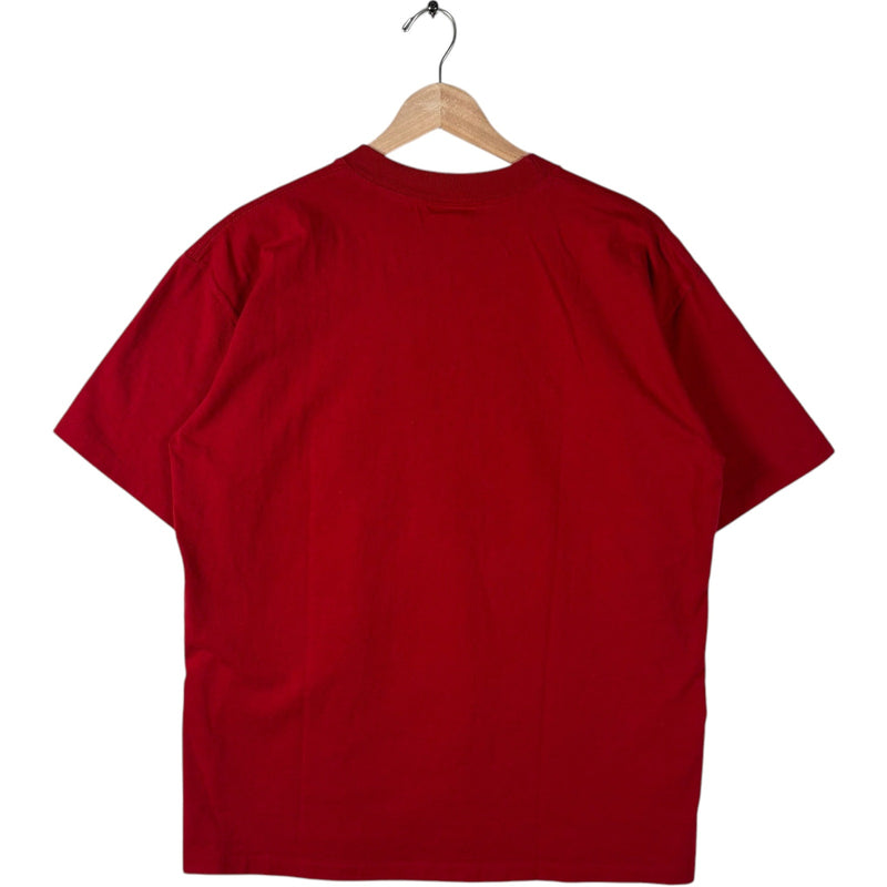 Vintage Nutmeg Washington Redskins Conference Champs Tee 1991