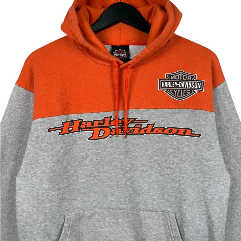 Vintage Harley Davidson Summerville Two Tone Hoodie