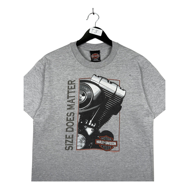 Vintage Harley Davidson Hollister CA T-Shirt