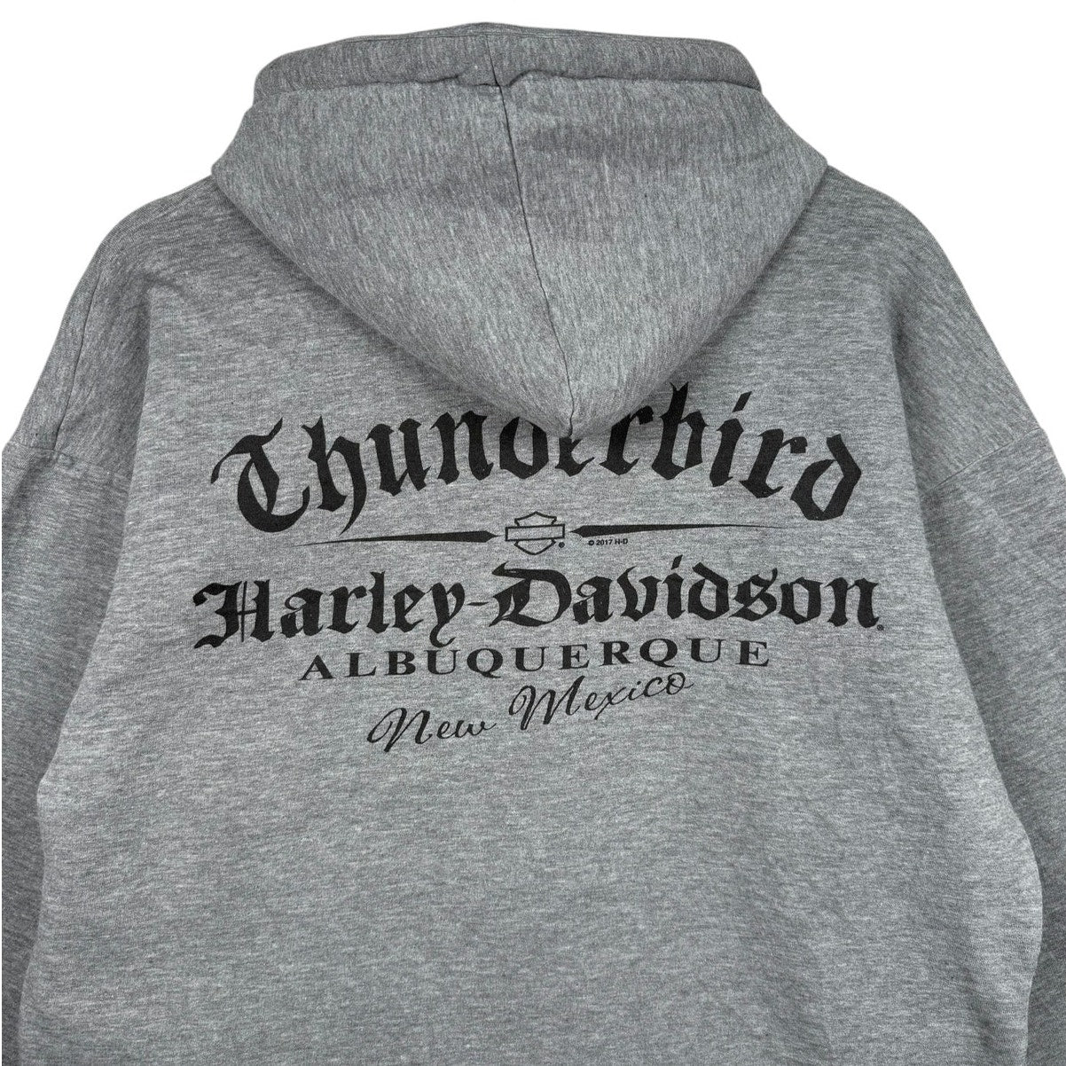 Vintage Harley Davidson Logo Thunderbird Hoodie
