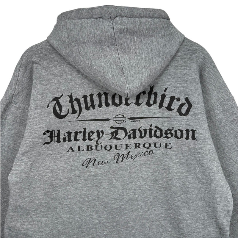 Vintage Harley Davidson Logo Thunderbird Hoodie