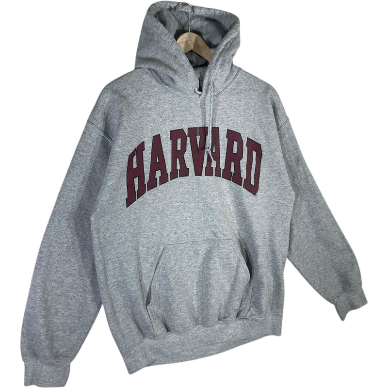 Vintage Harvard Chest Spellout Hoodie