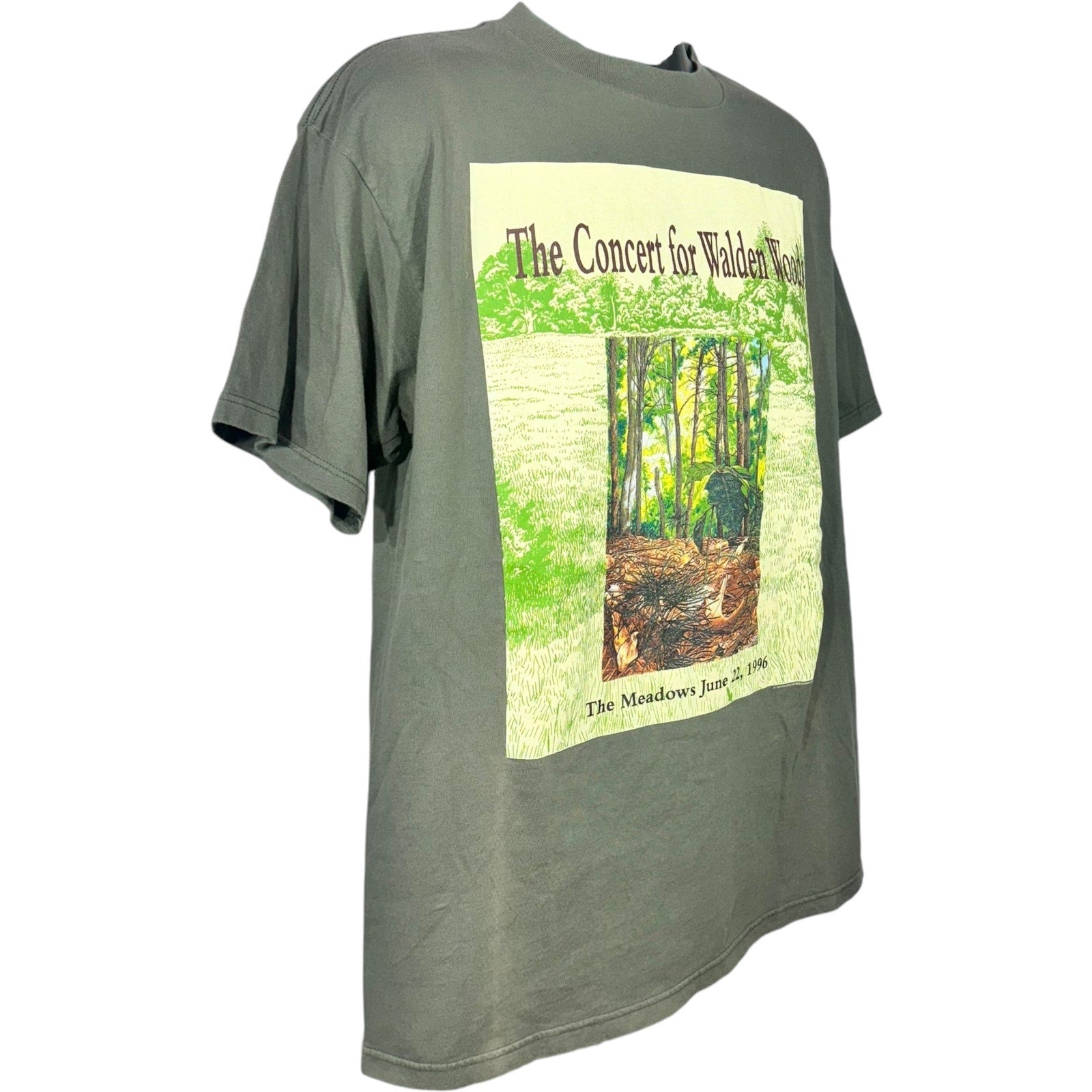 Vintage Eagles "The Concert For Walden Woods" Concert Tee