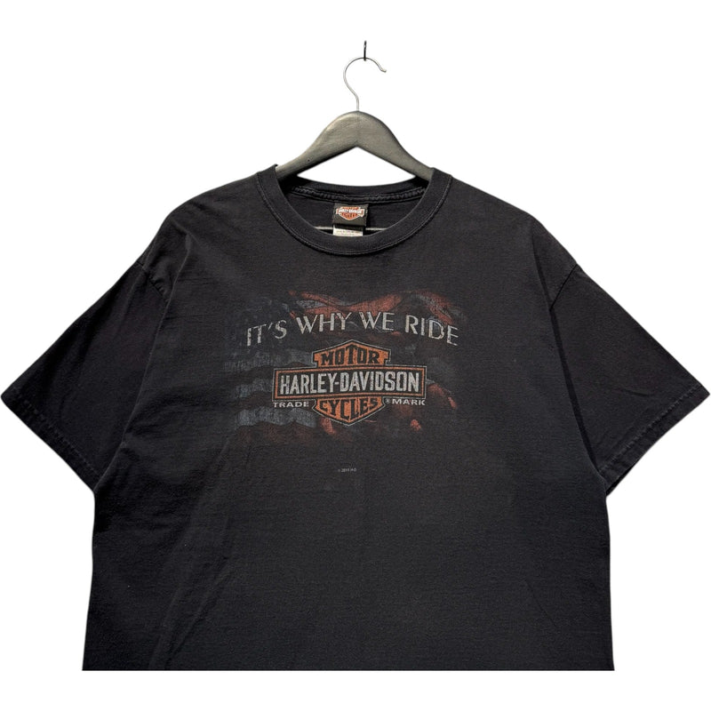 Vintage Harley Davidson "It's Why We Ride" Staunton, VA Tee