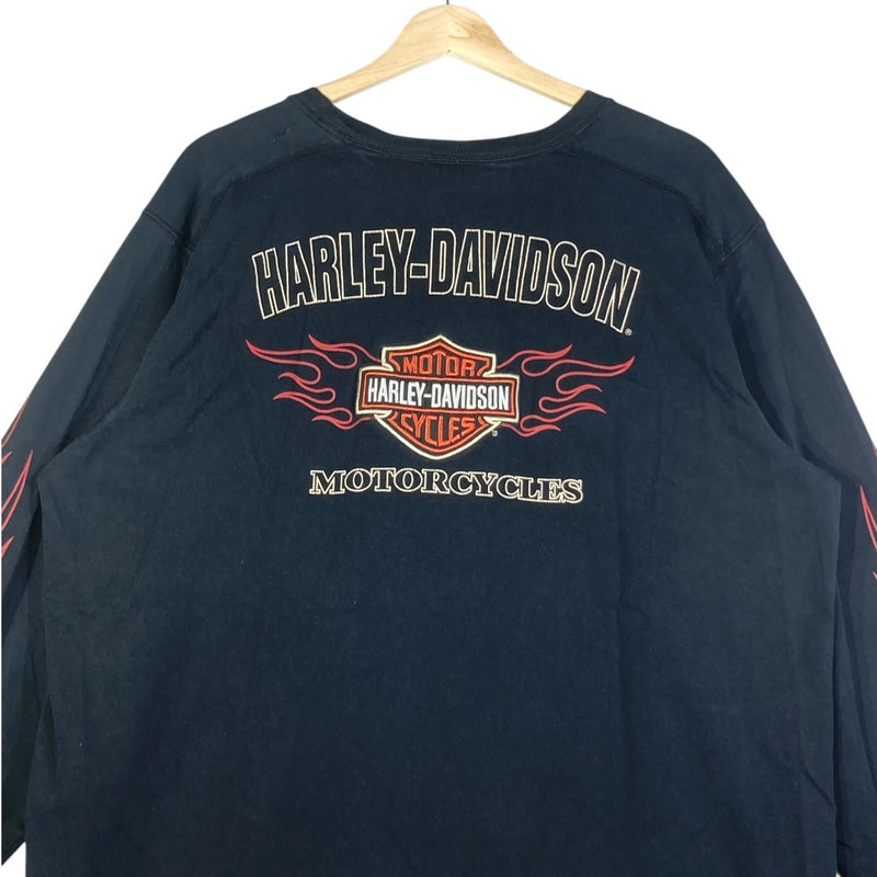 Vintage Harley Davidson Flame Sleeve Graphic Long Sleeve