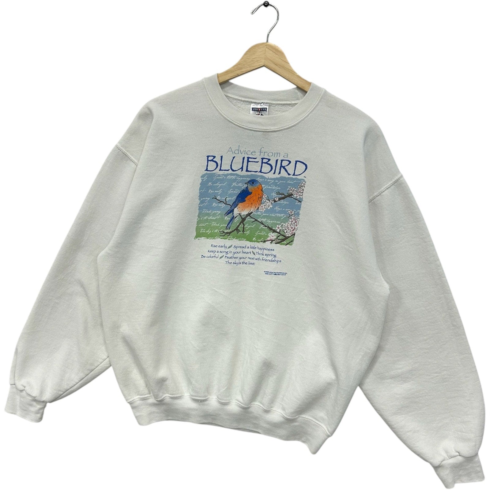 Vintage Advice From A Blue Bird Nature Crewneck