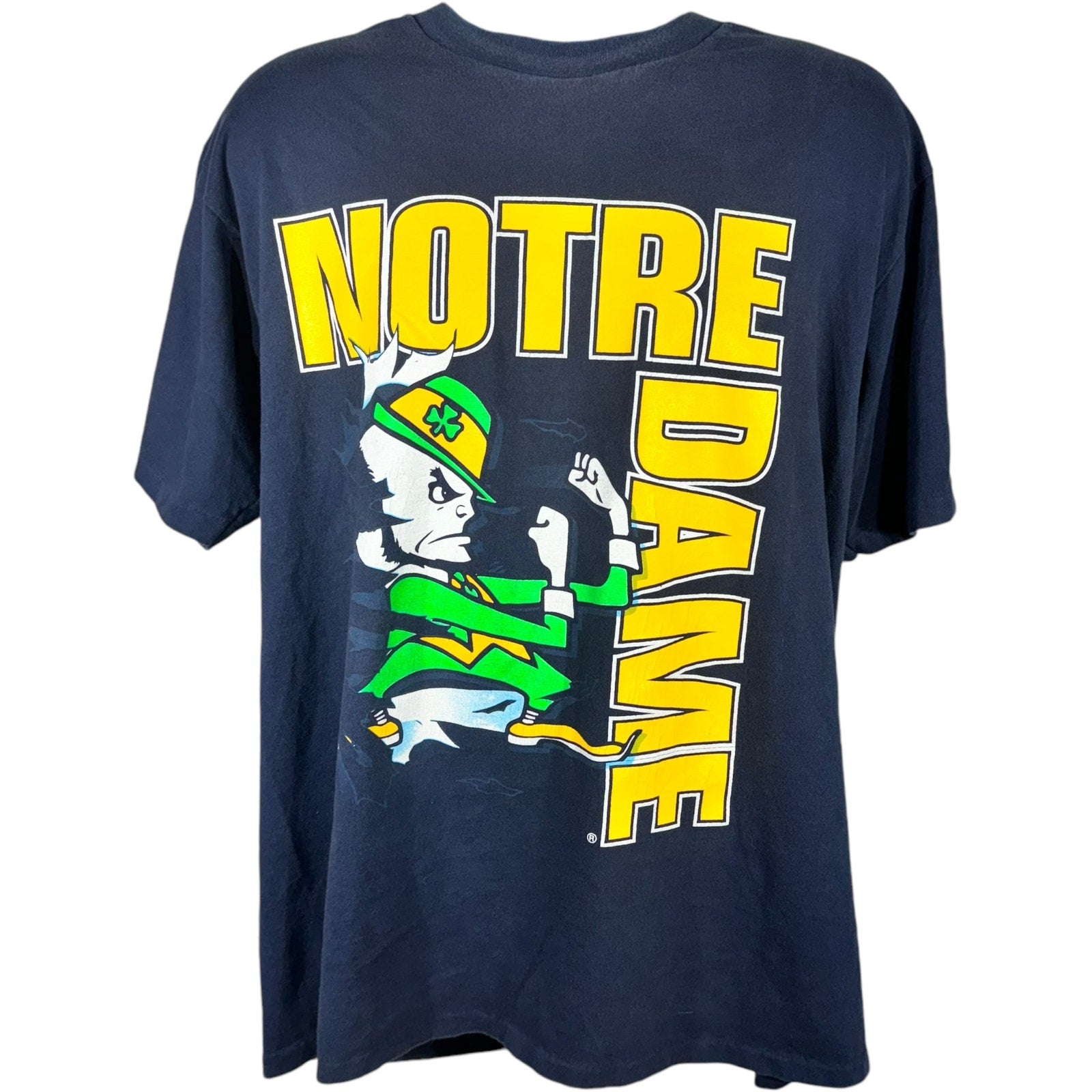 Vintage Nutmeg Notre Dame Fighting Irish Breakthrough Tee