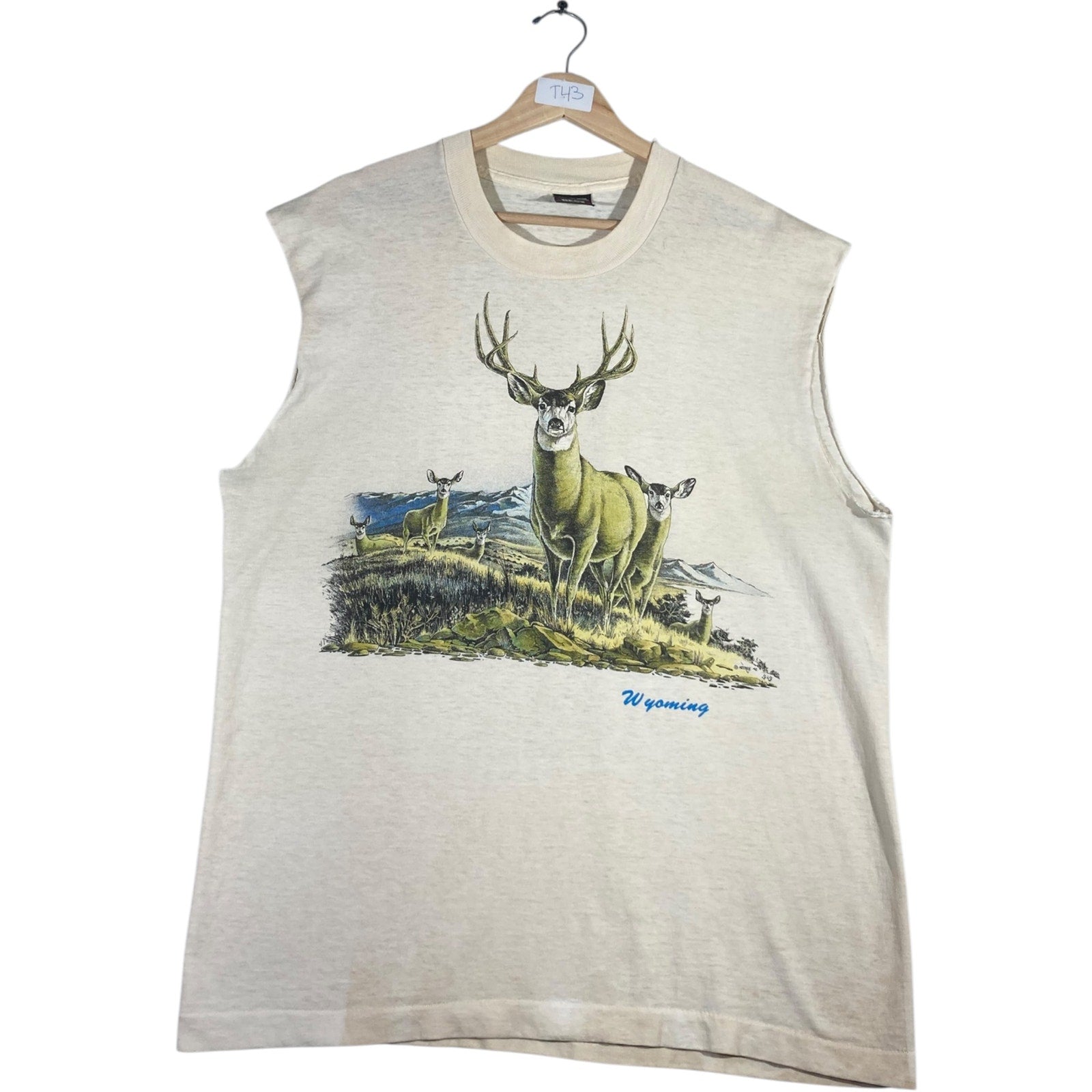 Vintage Fruit of the Loom Muscle Sleeves Tank Top