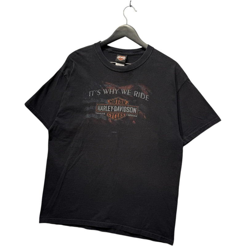 Vintage Harley Davidson "It's Why We Ride" Staunton, VA Tee