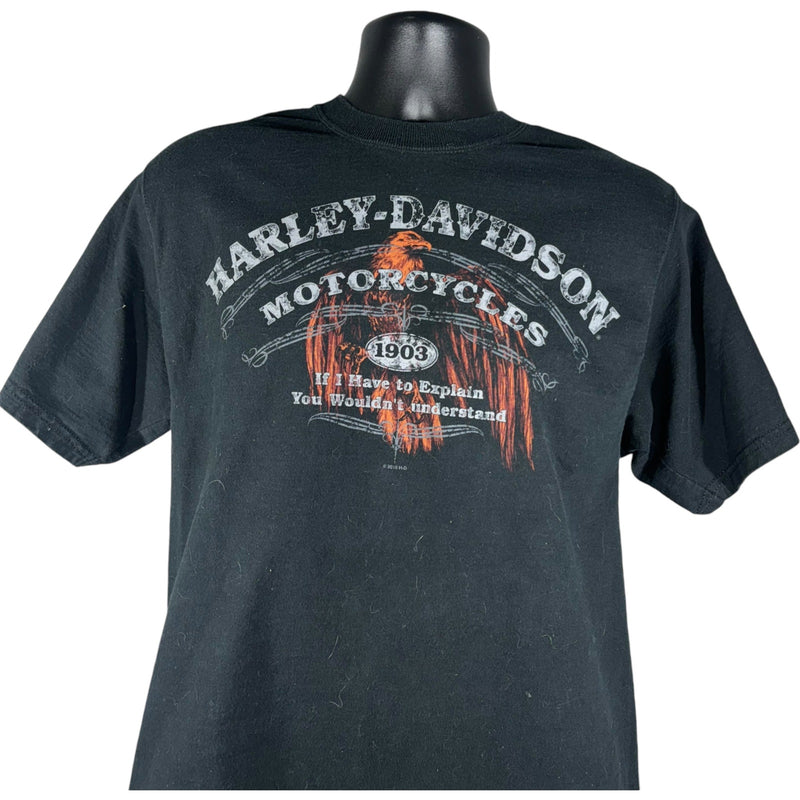 Vintage Black Diamond Harley Davidson Tee