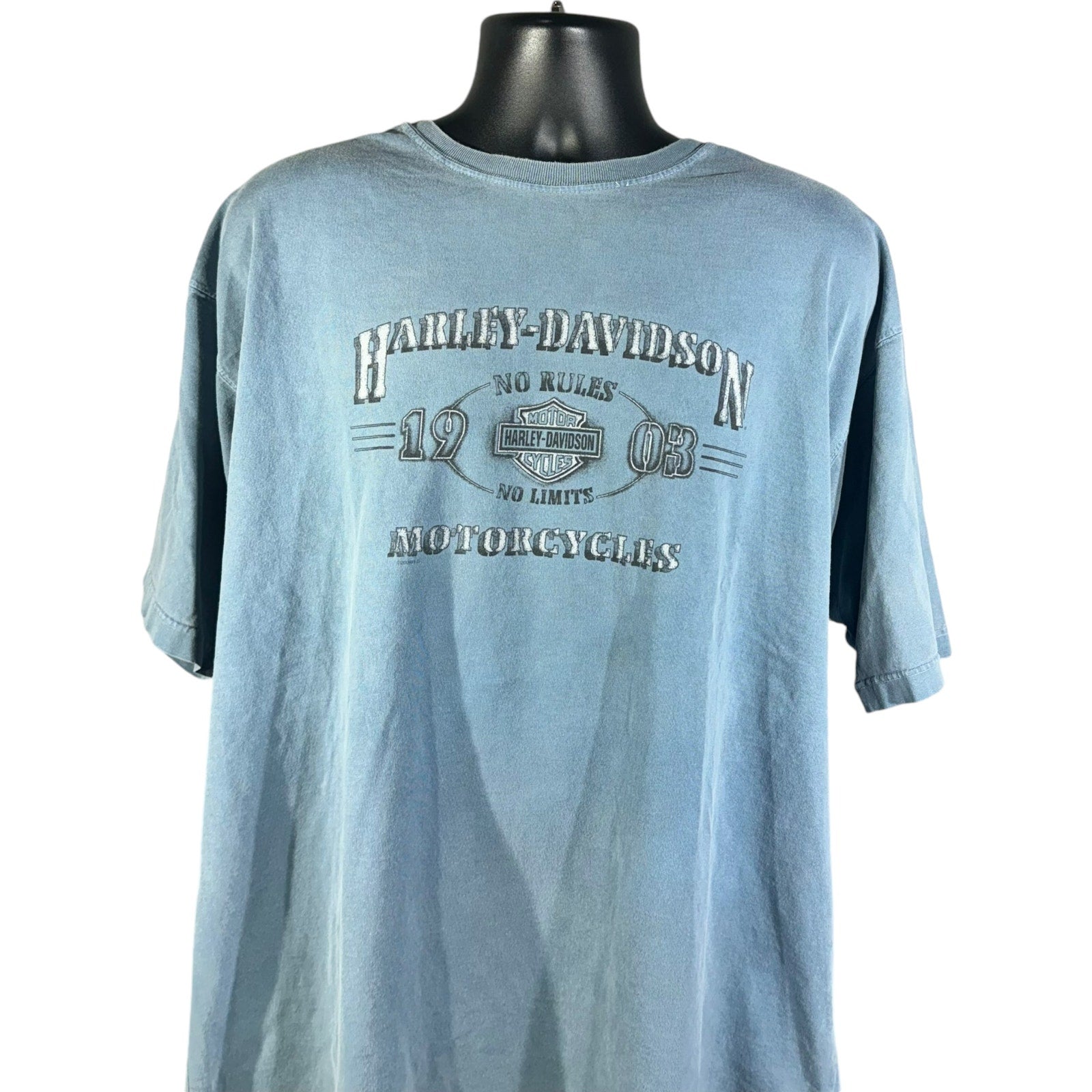 Vintage Harley Davidson "No Rules, No Limits" Stroudsburg, PA Tee