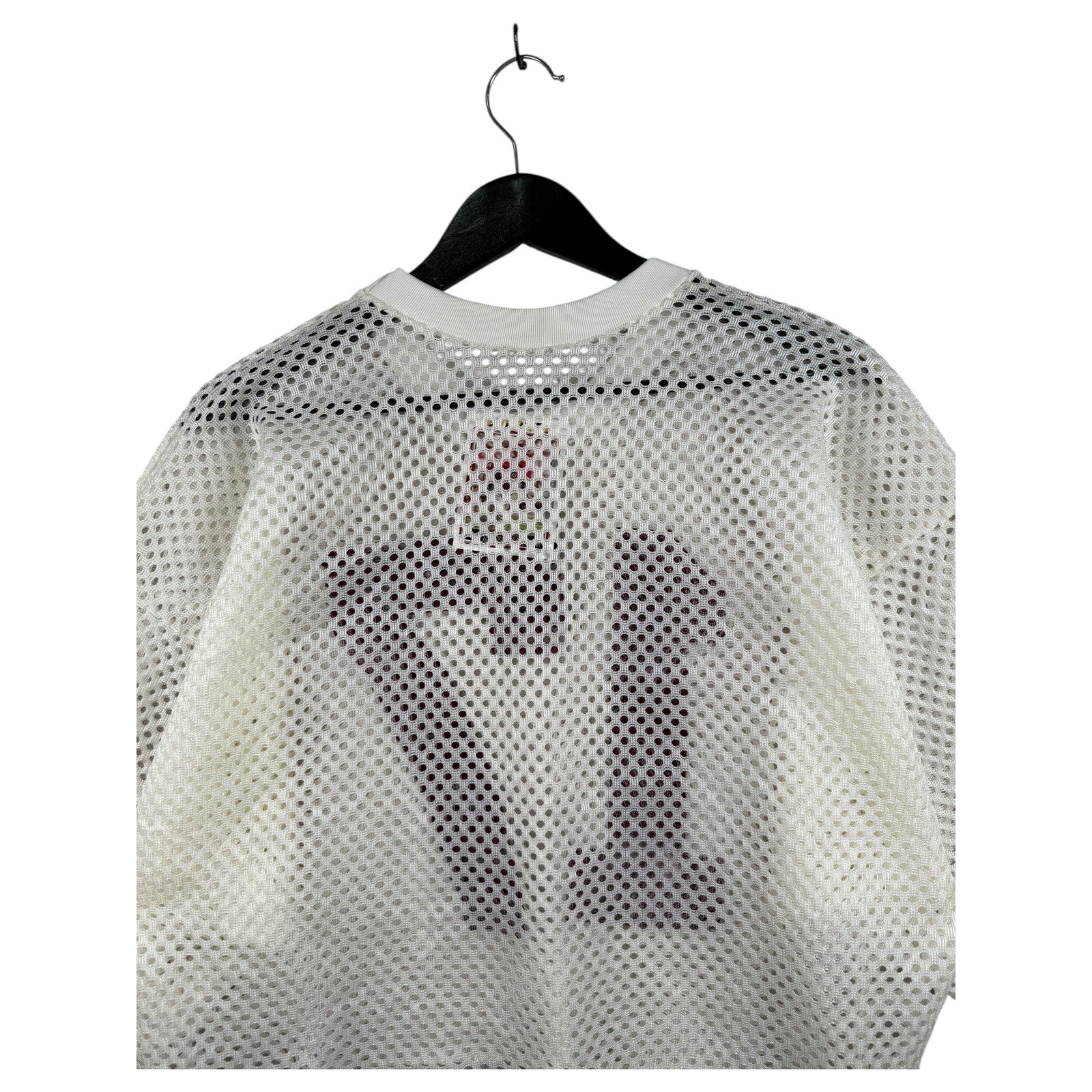 Vintage Champion Y2K Cropped Jersey