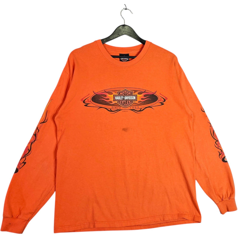 Vintage Harley Davidson Illinois Long Sleeve