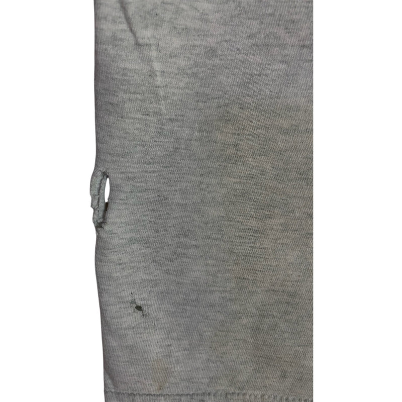 Vintage Pittsburgh Steelers Blitzburgh NFL T-Shirt