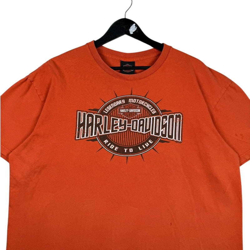 Vintage Harley Davidson Dillon Brothers Graphic T-Shirt