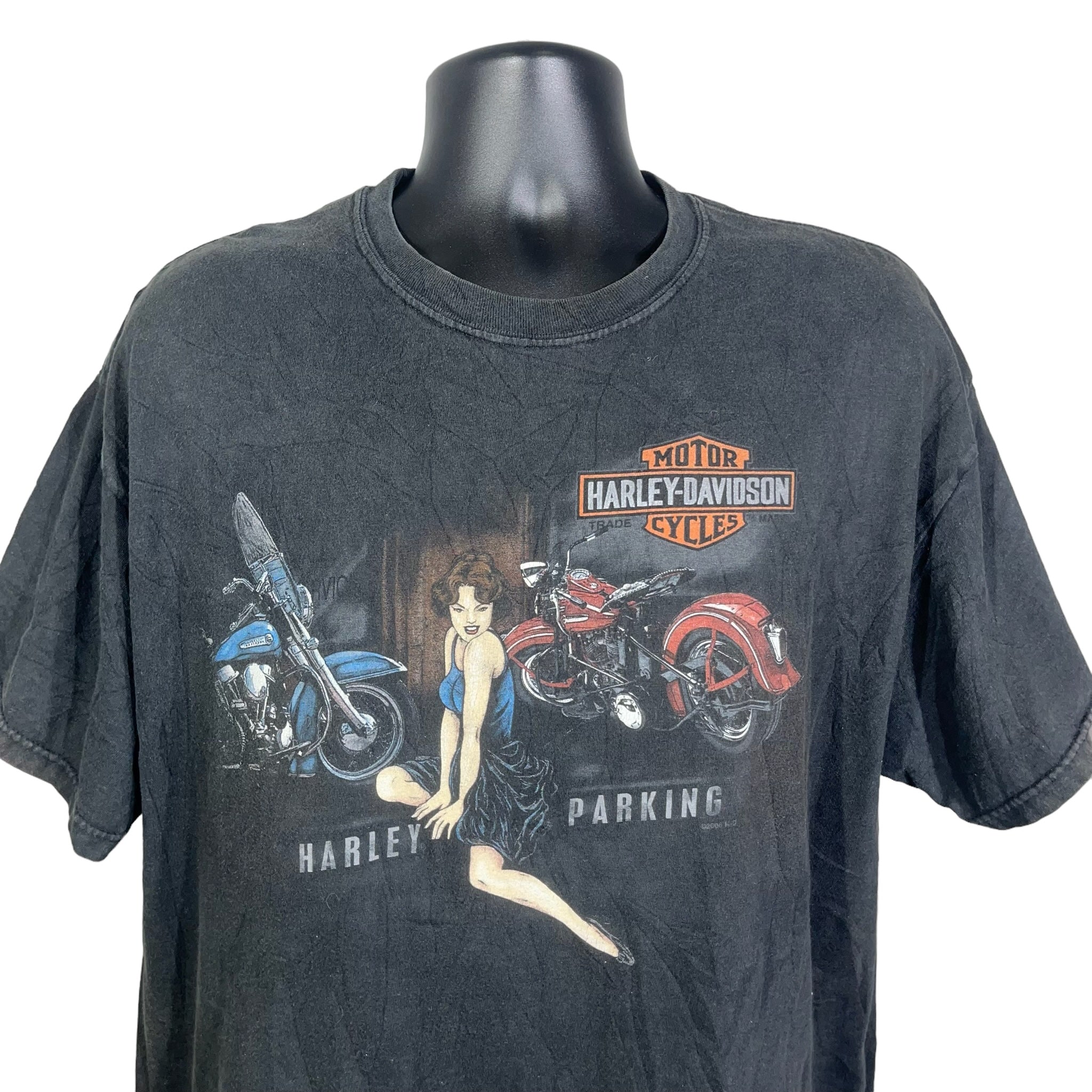Vintage Harley Davidson "Mike Famous" Delaware Tee