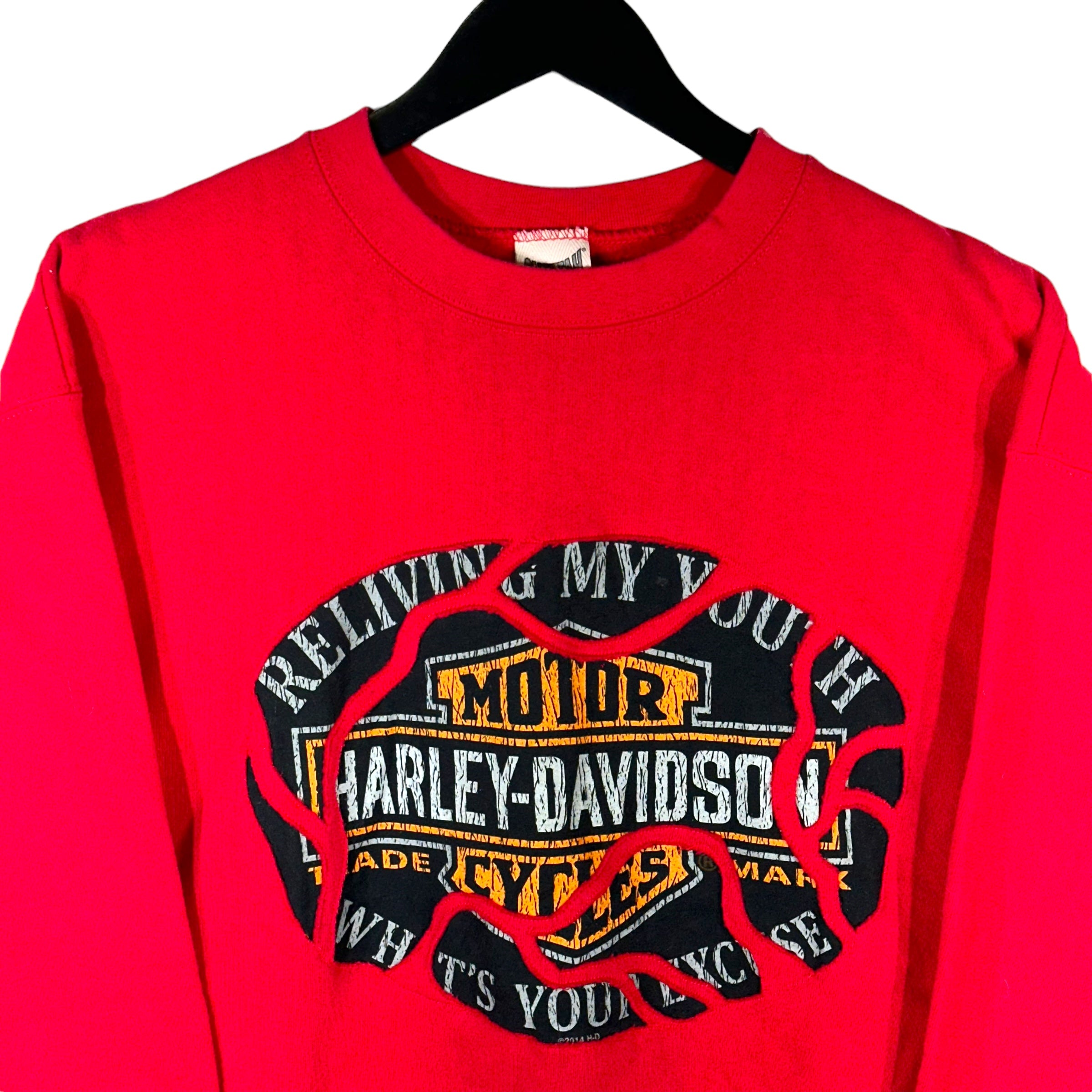 Vintage Harley Davidson Reliving My Youth Cut & Sew Crewneck