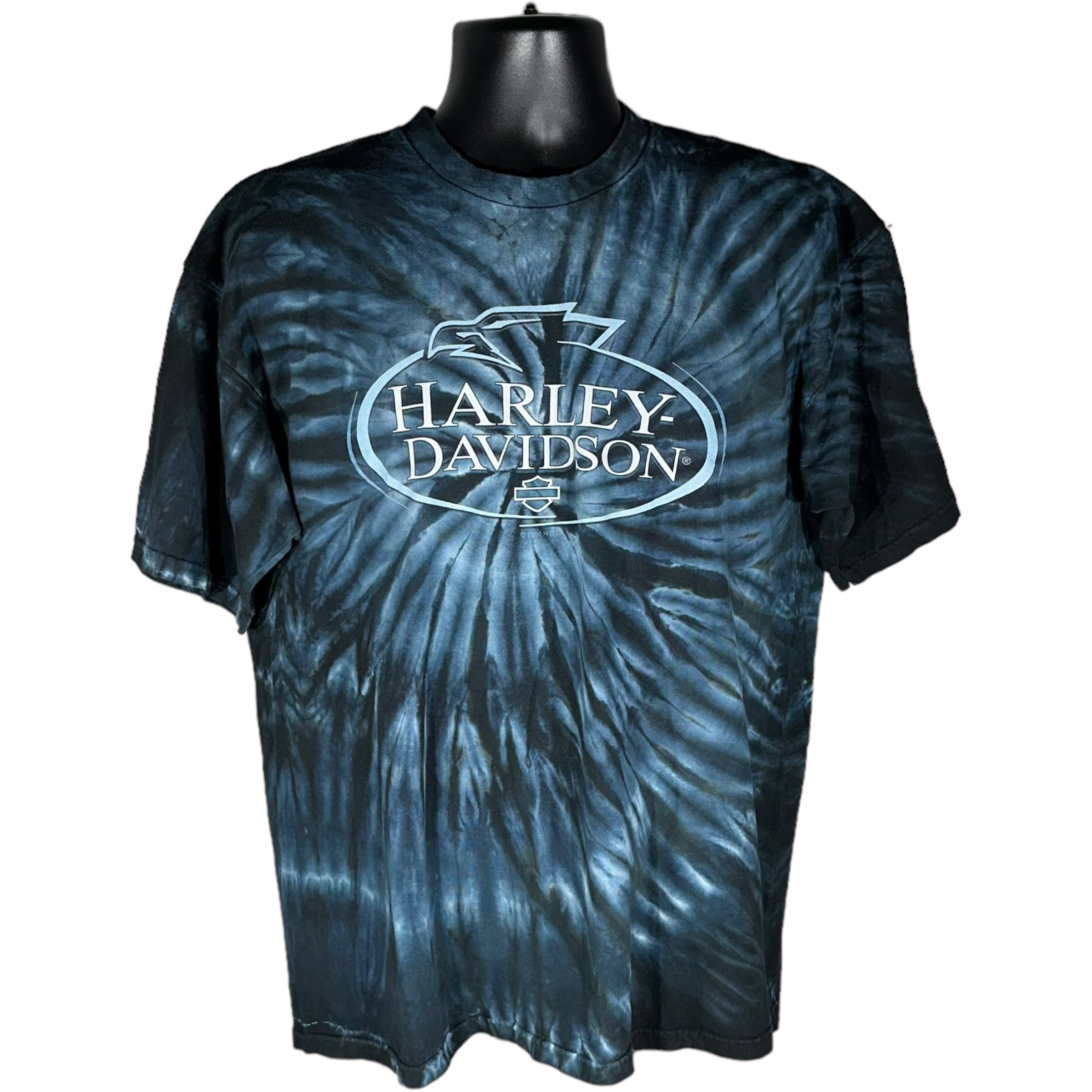 Vintage Harley Davidson Eagle Tie Dye Tee