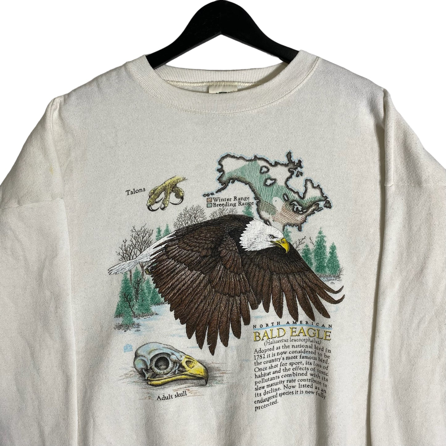 Vintage Bald Eagle Crewneck 90s – Vintage Planet