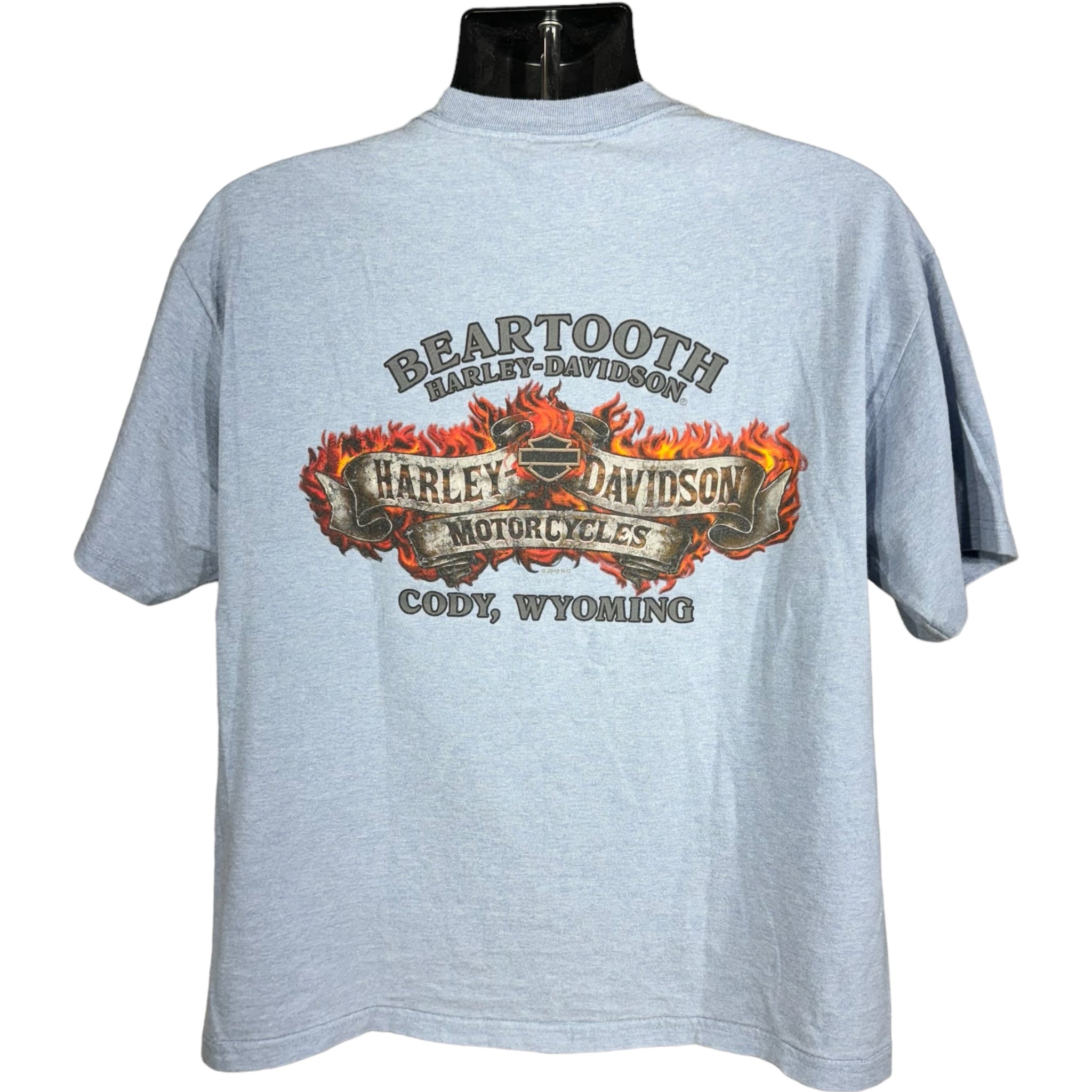 Vintage Harley Davidson "Beartooth - Cody, Wyoming" Tee 00s