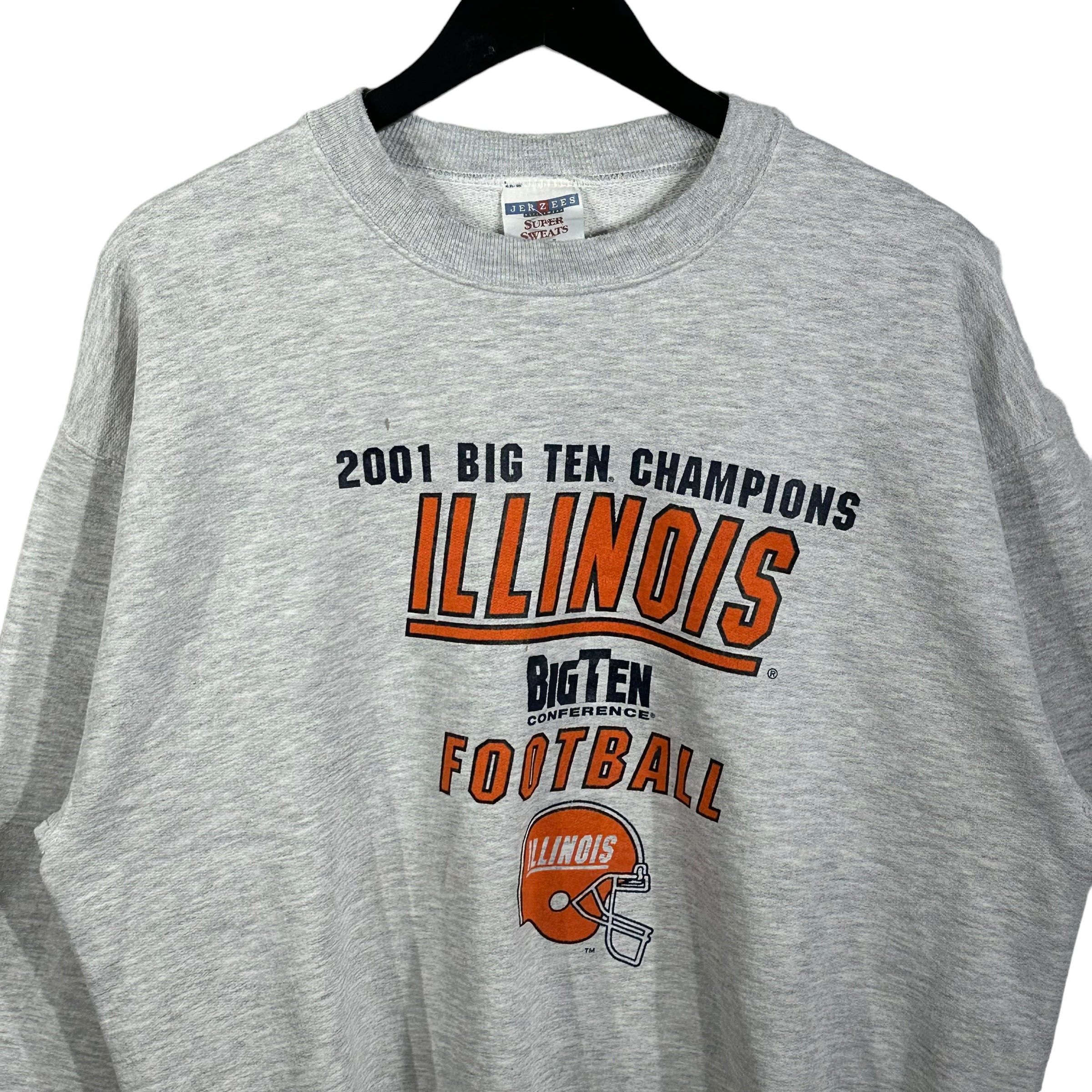 Vintage Big Ten Champions Illinois Football Paint Stained Crewneck