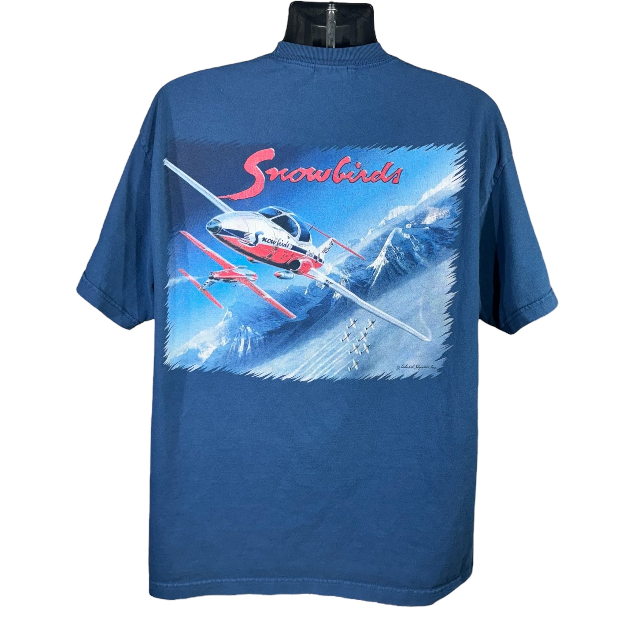 Vintage Snow Birds Plane Tee