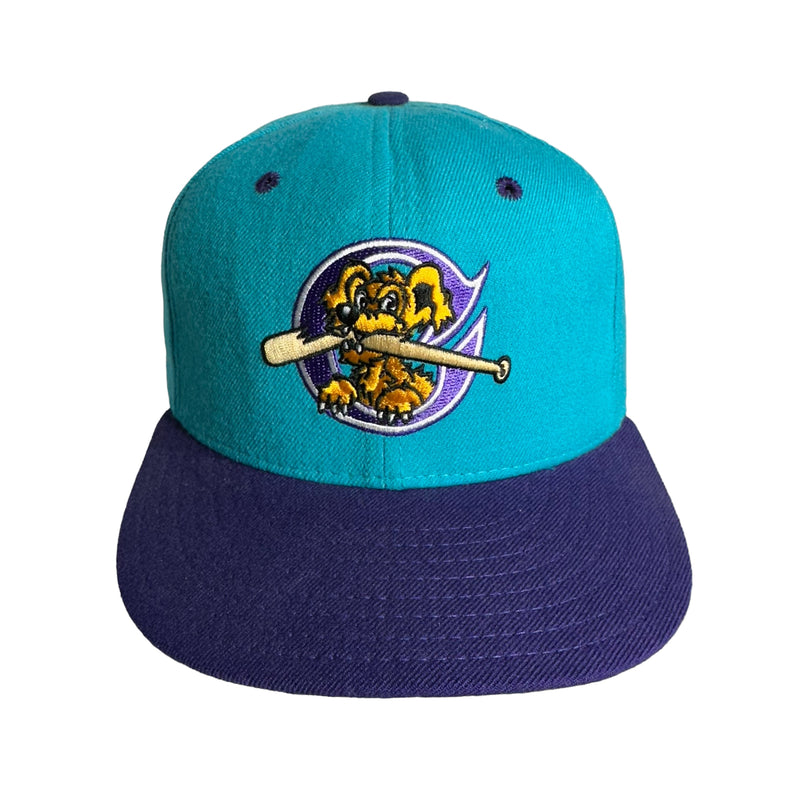 Vintage Charleston Riverdogs Fitted Hat