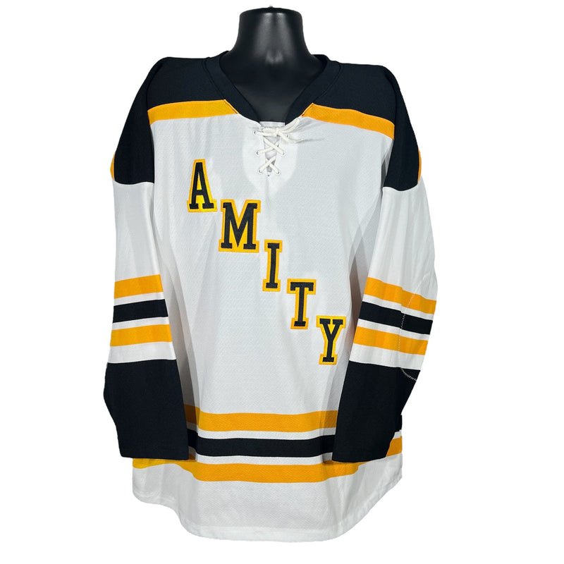 Vintage Amity Connecticut Hockey Jersey 90s