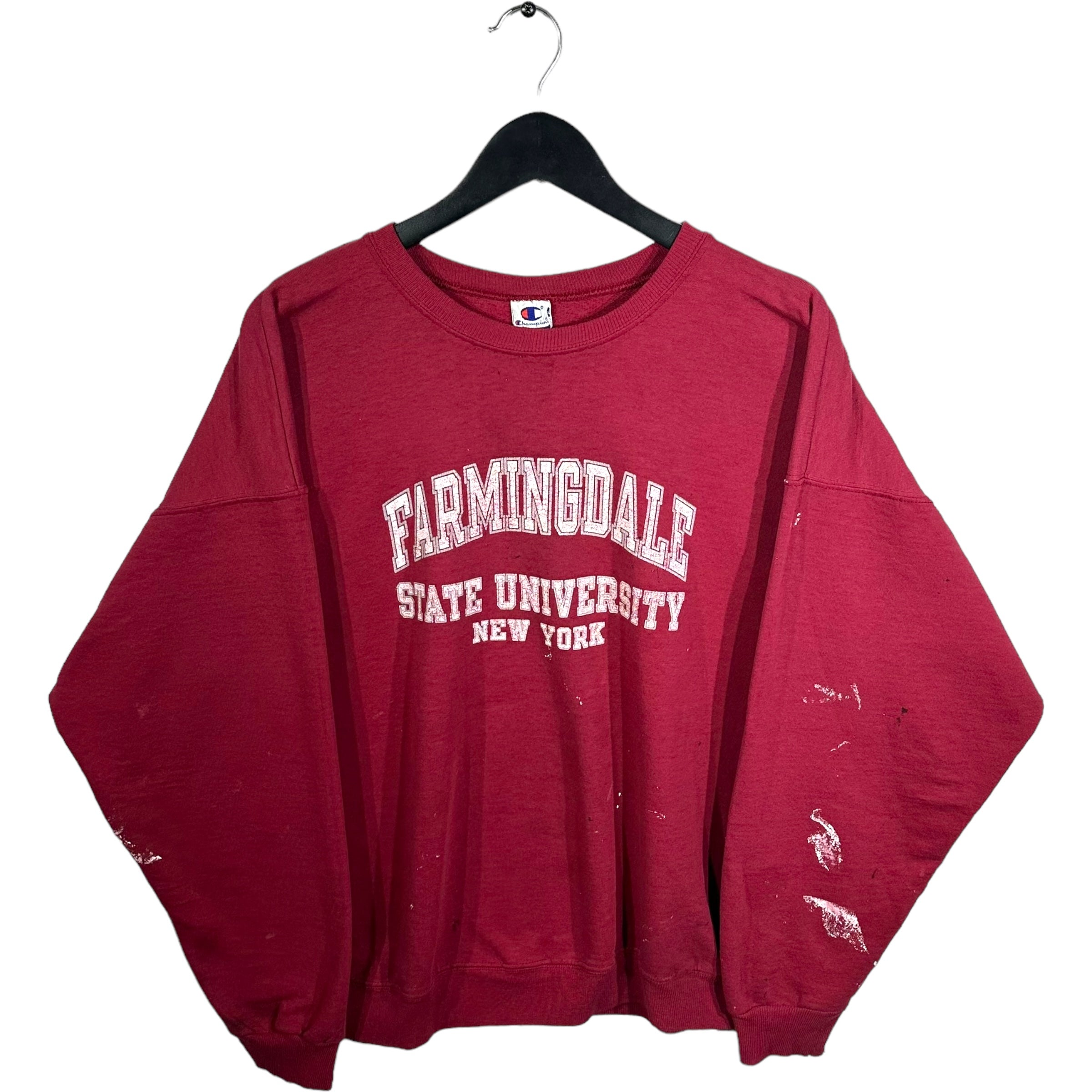 Vintage Farmingdale State University Champion Crewneck