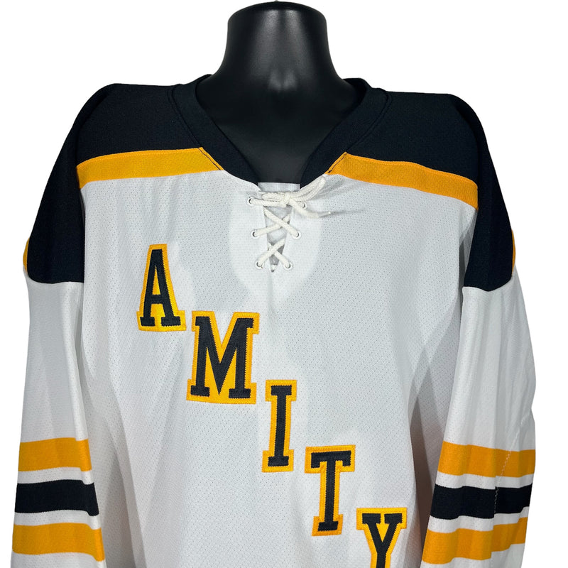 Vintage Amity Connecticut Hockey Jersey 90s