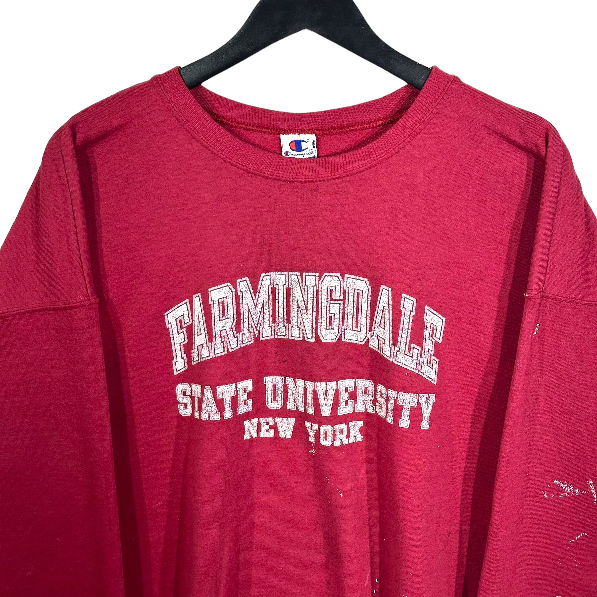 Vintage Farmingdale State University Champion Crewneck