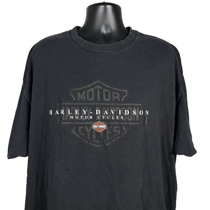 Vintage Harley Davidson Graphic Tee