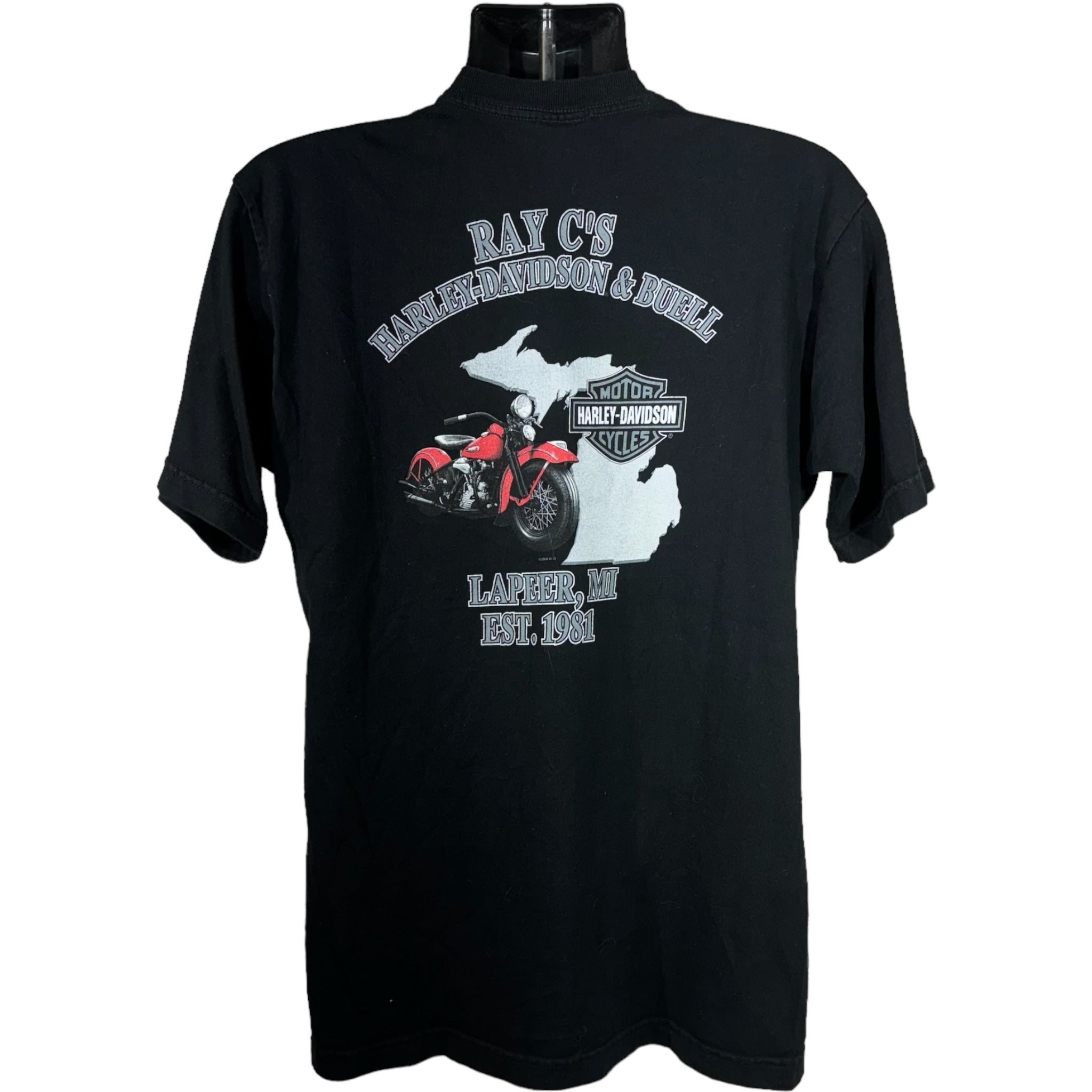 Harley Davidson "Declare Your Independence" Eagle Tee