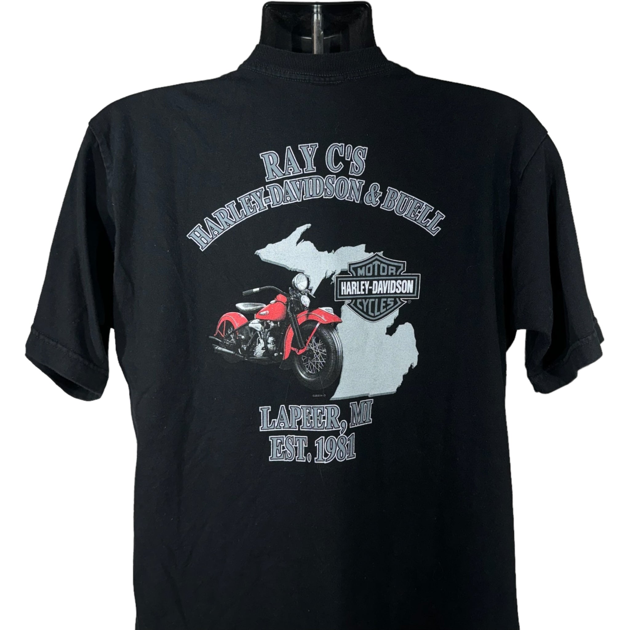 Harley Davidson "Declare Your Independence" Eagle Tee