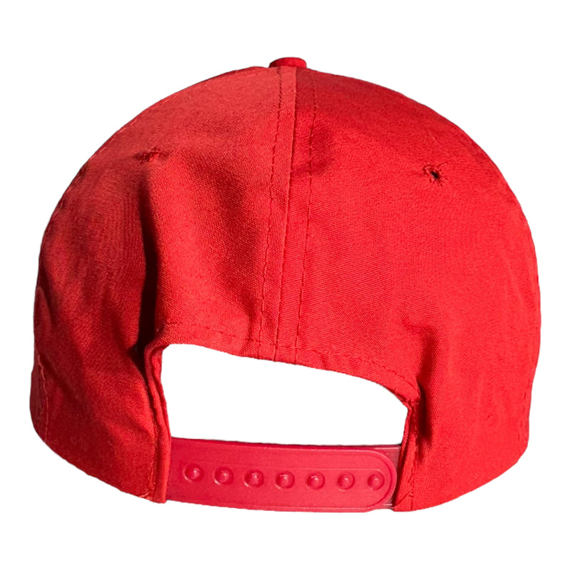 Vintage Jurassic Park Snapback Hat