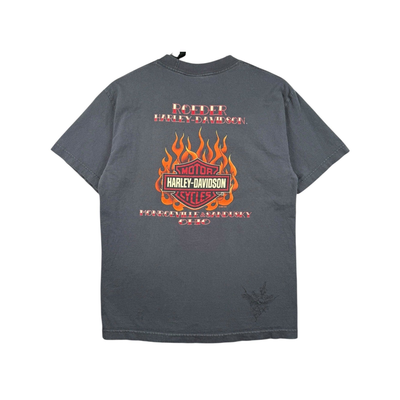 Vintage Harley Davidson Flames Graphic T-Shirt