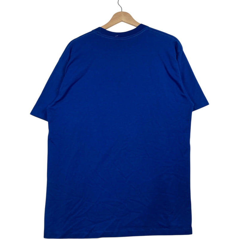Vintage Panama City Beach Pelicans Tee